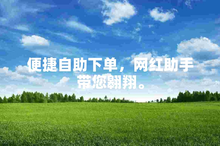 便捷自助下单，网红助手带您翱翔。