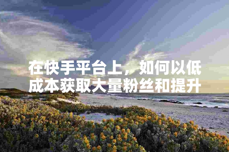 在快手平台上，如何以低成本获取大量粉丝和提升视频热度成为了许多用户关注的焦点。