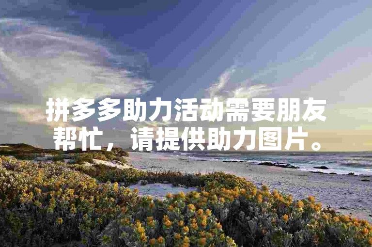 拼多多助力活动需要朋友帮忙，请提供助力图片。