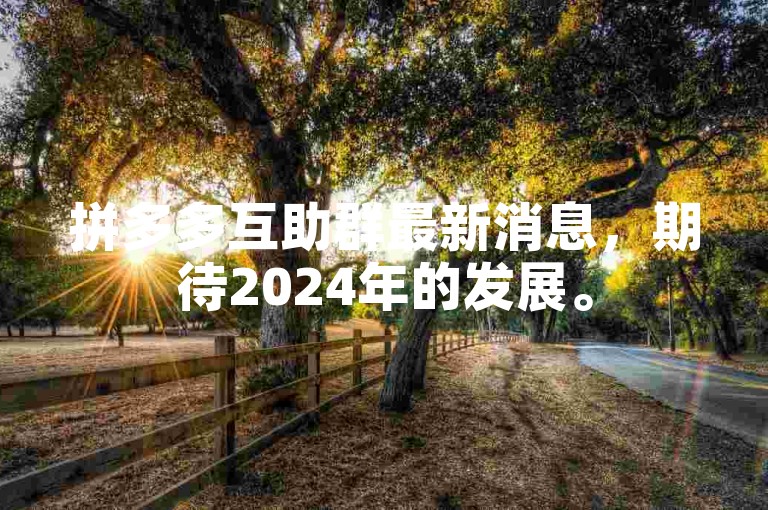 拼多多互助群最新消息，期待2024年的发展。
