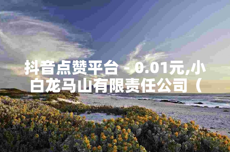 抖音点赞平台 - 0.01元,小白龙马山有限责任公司（抖音点赞购买，价格仅0.01元，小白龙马山有限责任公司高质量服务）