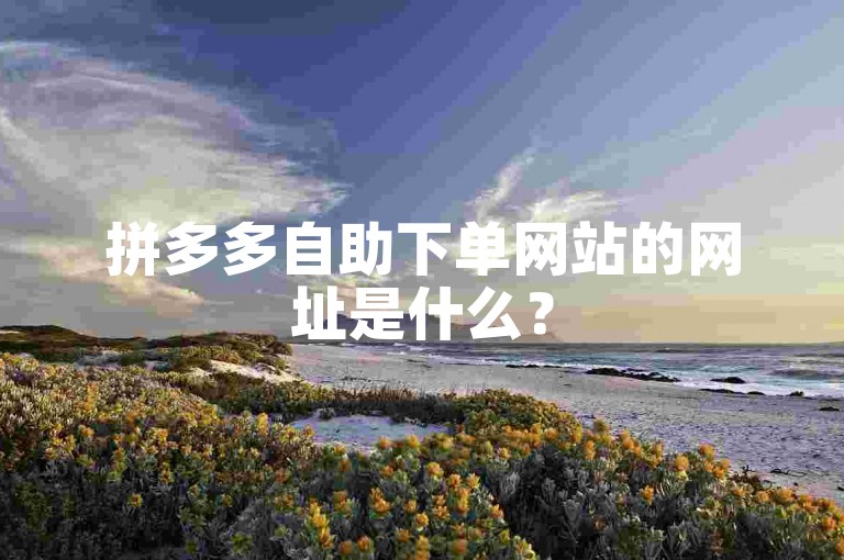 拼多多自助下单网站的网址是什么？