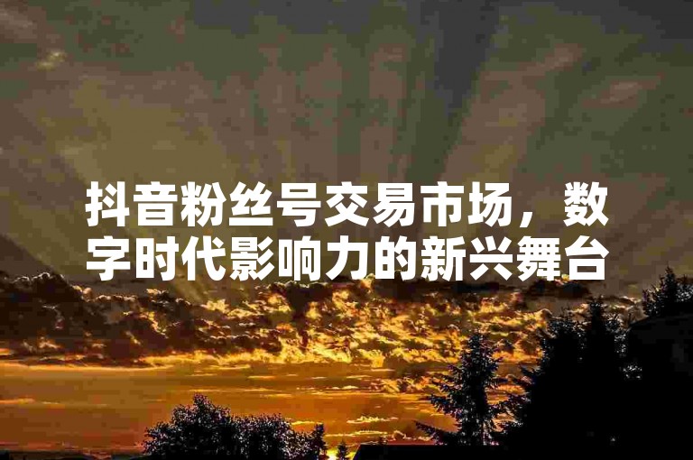 抖音粉丝号交易市场，数字时代影响力的新兴舞台。