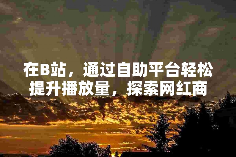 在B站，通过自助平台轻松提升播放量，探索网红商店的24小时不间断服务，体验下单真人互动的乐趣，同时揭秘QQ点赞背后的独家作用。