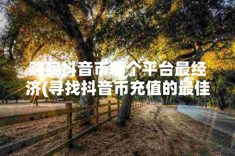 购买抖音币哪个平台最经济(寻找抖音币充值的最佳途径)。