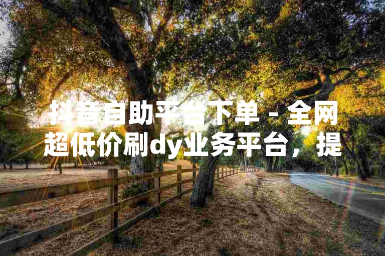 抖音自助平台下单 - 全网超低价刷dy业务平台，提供快速、便捷的服务。
