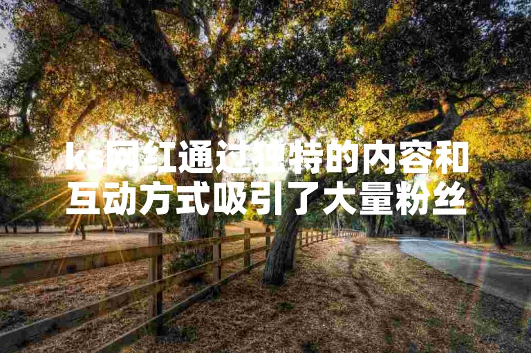 ks网红通过独特的内容和互动方式吸引了大量粉丝。
