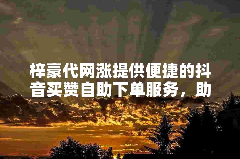 梓豪代网涨提供便捷的抖音买赞自助下单服务，助你快速提升视频热度。