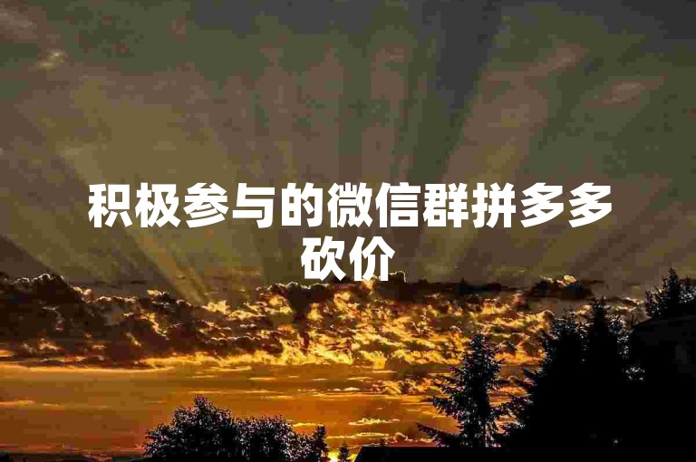 积极参与的微信群拼多多砍价