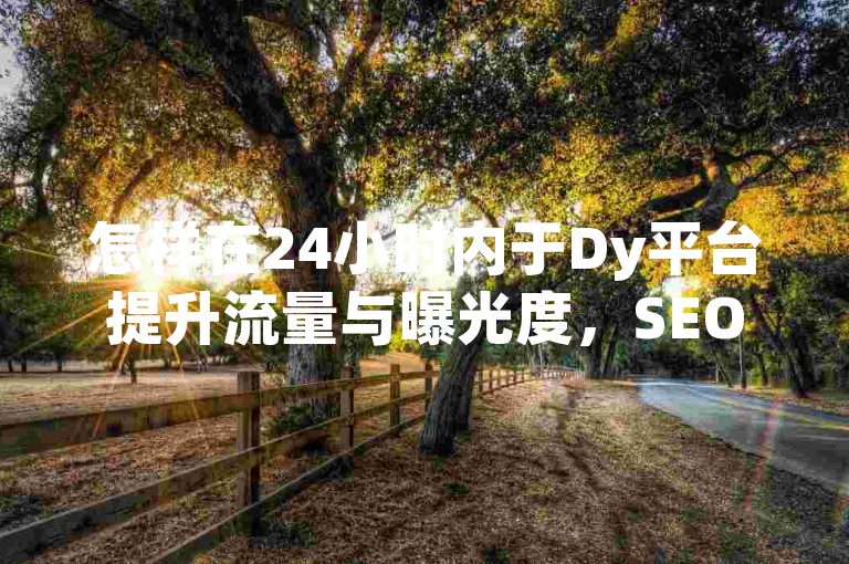 怎样在24小时内于Dy平台提升流量与曝光度，SEO编辑的实用技巧与策略解析