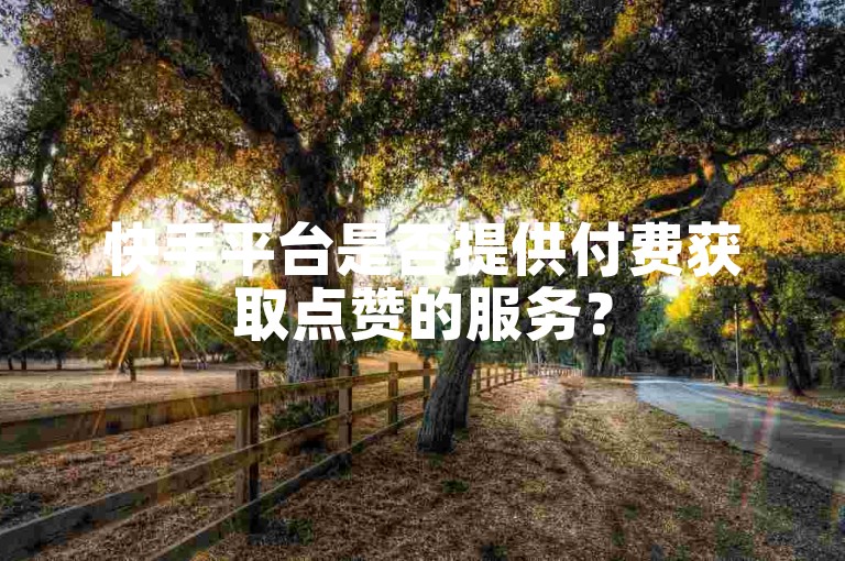 快手平台是否提供付费获取点赞的服务？