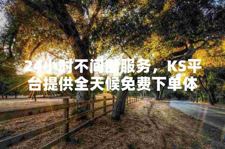 24小时不间断服务，KS平台提供全天候免费下单体验。