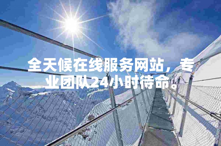 全天候在线服务网站，专业团队24小时待命。