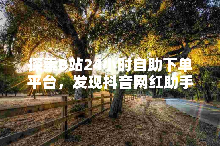 探索B站24小时自助下单平台，发现抖音网红助手商城的无限可能。