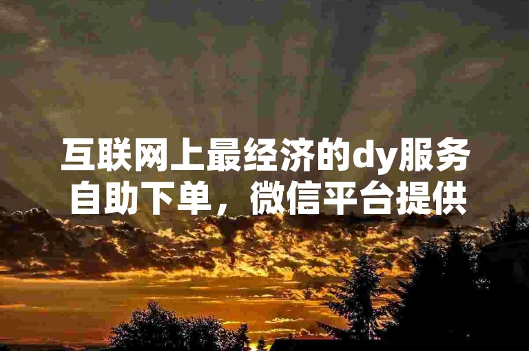 互联网上最经济的dy服务自助下单，微信平台提供便捷交易。