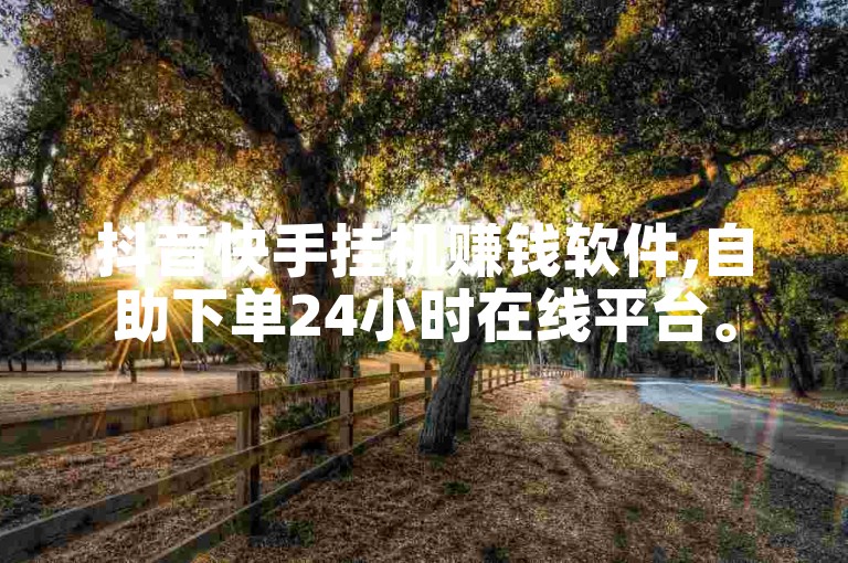 抖音快手挂机赚钱软件,自助下单24小时在线平台。