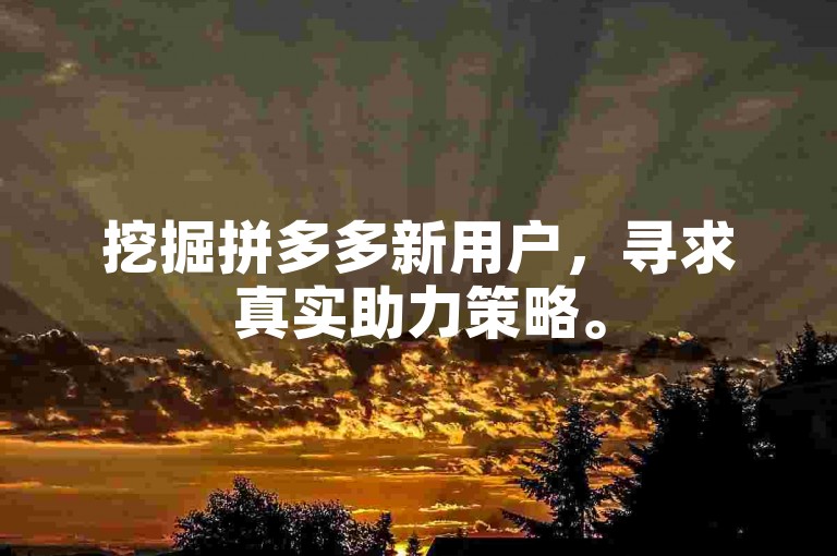 挖掘拼多多新用户，寻求真实助力策略。