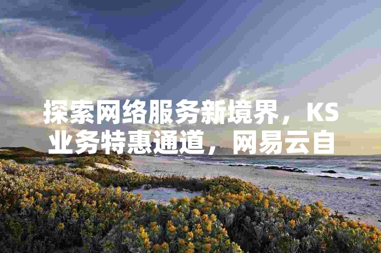 探索网络服务新境界，KS业务特惠通道，网易云自助下单享优惠，抖音快手平台全天候服务，惊喜连连！