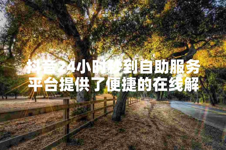 抖音24小时秒到自助服务平台提供了便捷的在线解决方案，让用户能够快速获得所需的服务。