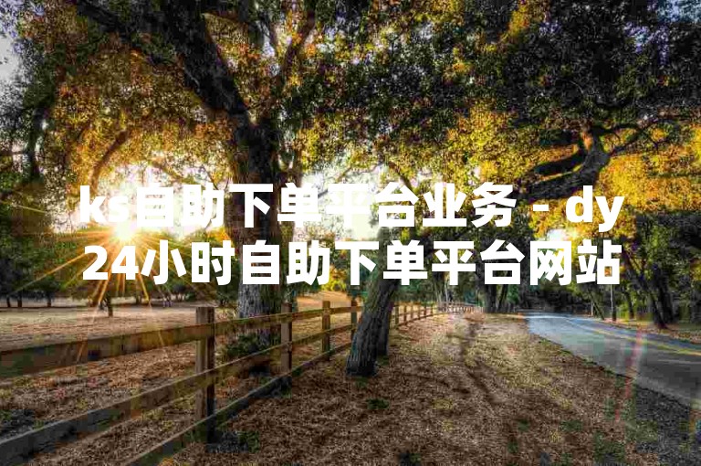 ks自助下单平台业务 - dy24小时自助下单平台网站，为您提供便捷的在线服务体验。