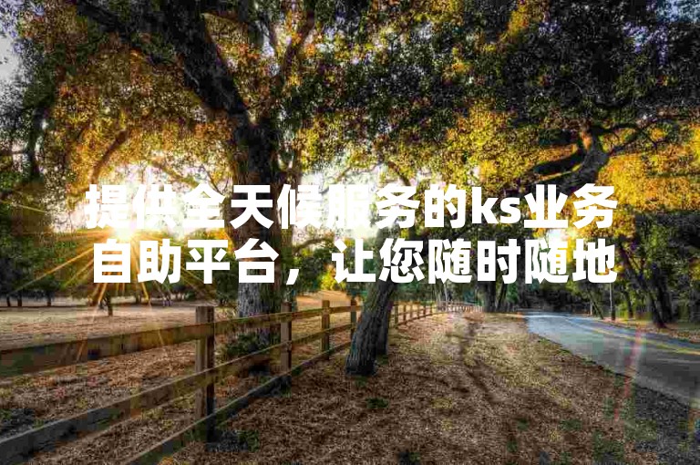 提供全天候服务的ks业务自助平台，让您随时随地都能轻松下单。