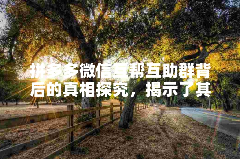 拼多多微信互帮互助群背后的真相探究，揭示了其运作模式及潜在风险。