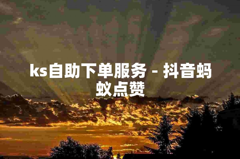 ks自助下单服务 - 抖音蚂蚁点赞