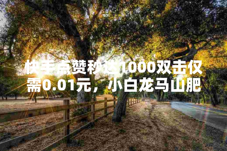 快手点赞秒达1000双击仅需0.01元，小白龙马山肥的大地房产装修，抖音业务24小时在线下单商城 - 自助平台全天候服务 - Ks赞自助微信支付微利也疯狂！