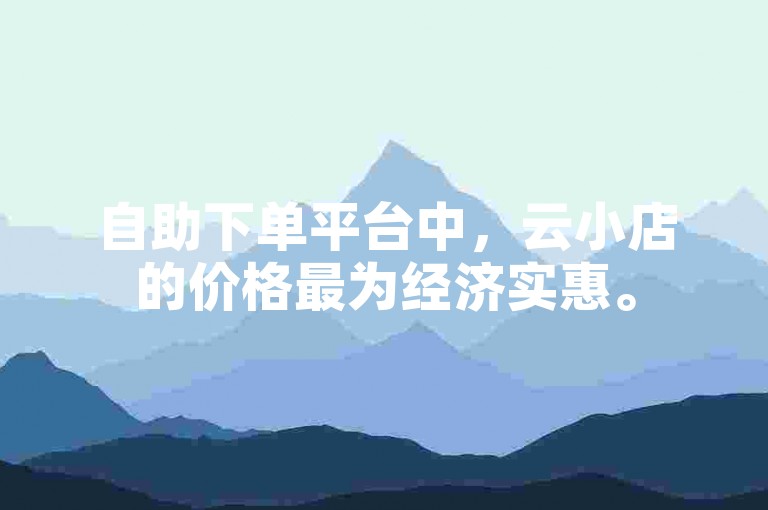 自助下单平台中，云小店的价格最为经济实惠。