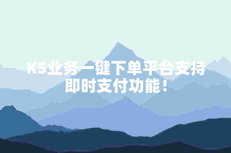KS业务一键下单平台支持即时支付功能！