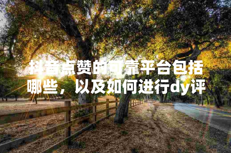 抖音点赞的可靠平台包括哪些，以及如何进行dy评论下单？