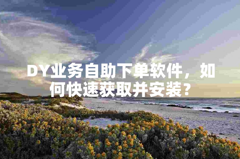 DY业务自助下单软件，如何快速获取并安装？