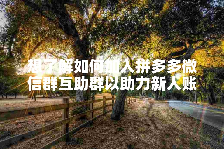 想了解如何加入拼多多微信群互助群以助力新人账号吗？