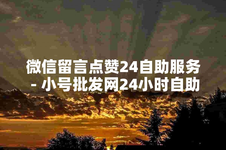 微信留言点赞24自助服务 - 小号批发网24小时自助发卡
