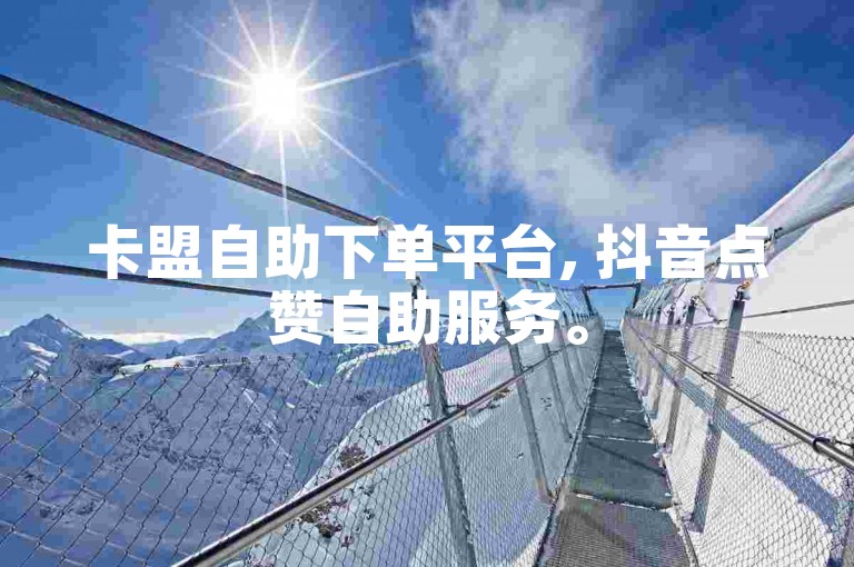 卡盟自助下单平台, 抖音点赞自助服务。