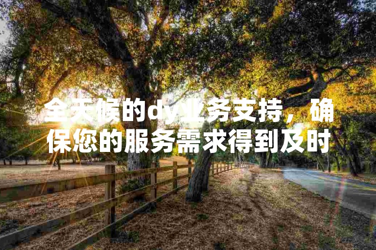 全天候的dy业务支持，确保您的服务需求得到及时满足。