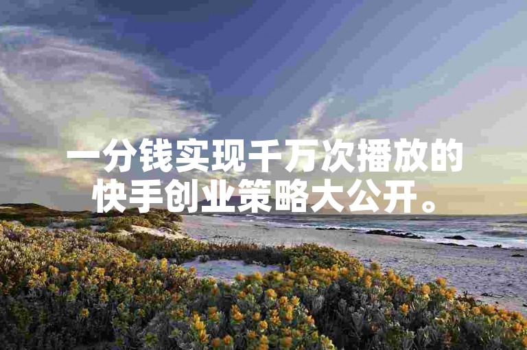 一分钱实现千万次播放的快手创业策略大公开。