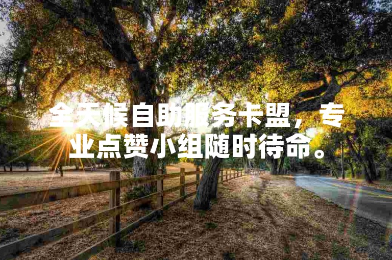 全天候自助服务卡盟，专业点赞小组随时待命。