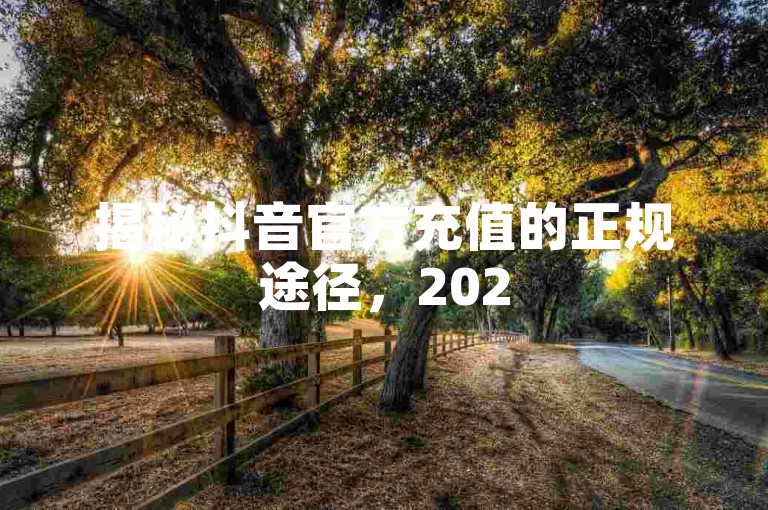 揭秘抖音官方充值的正规途径，2025年必备的购买技巧！