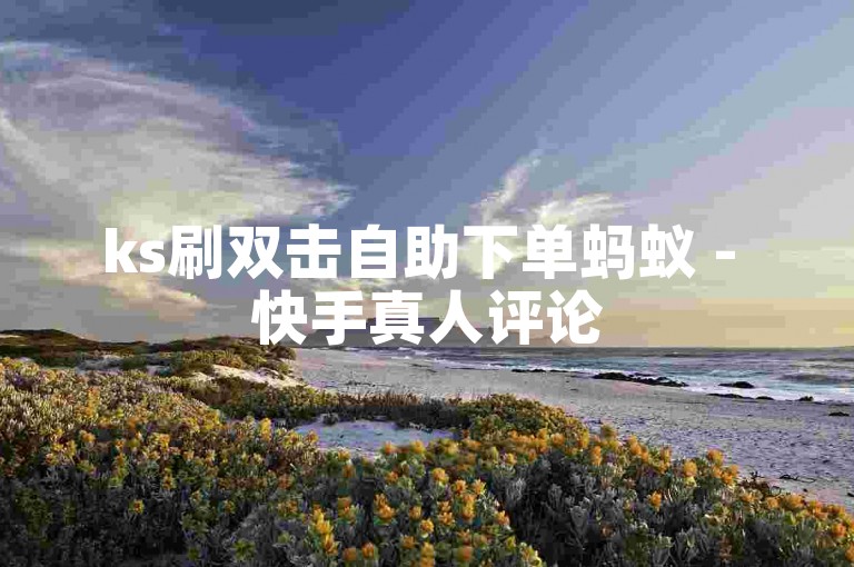 ks刷双击自助下单蚂蚁 - 快手真人评论5条自助服务。