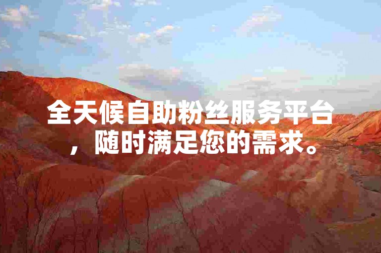 全天候自助粉丝服务平台，随时满足您的需求。