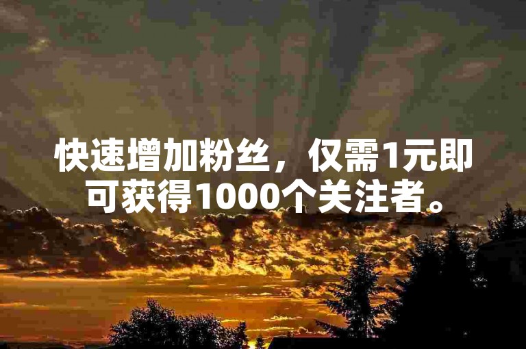 快速增加粉丝，仅需1元即可获得1000个关注者。