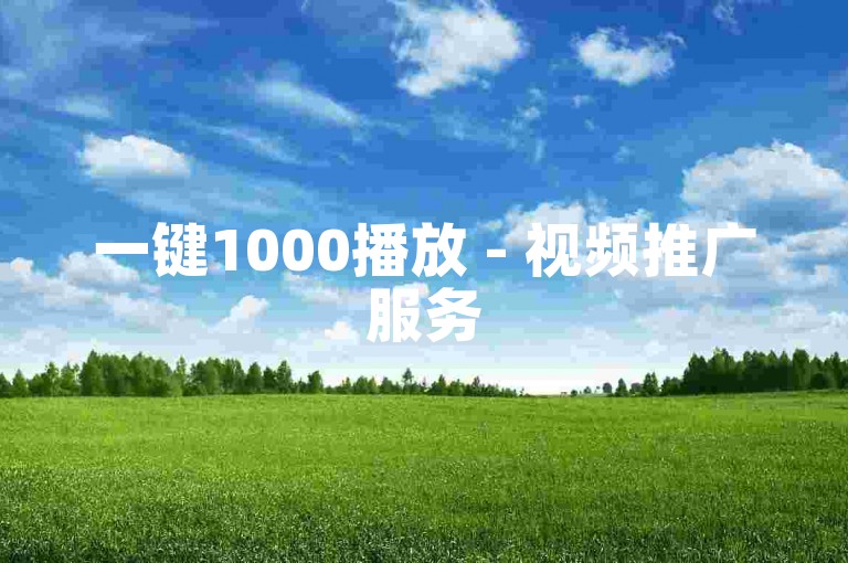 一键1000播放 - 视频推广服务