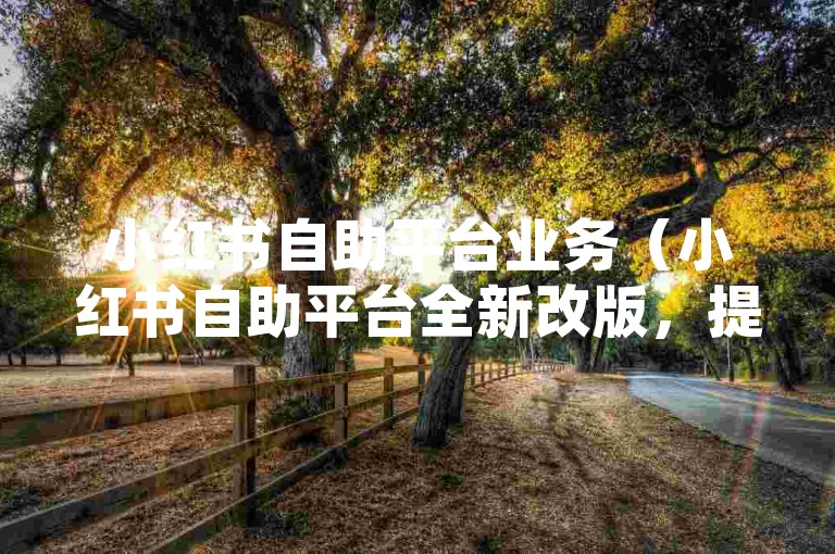 小红书自助平台业务（小红书自助平台全新改版，提升品牌营销效果）