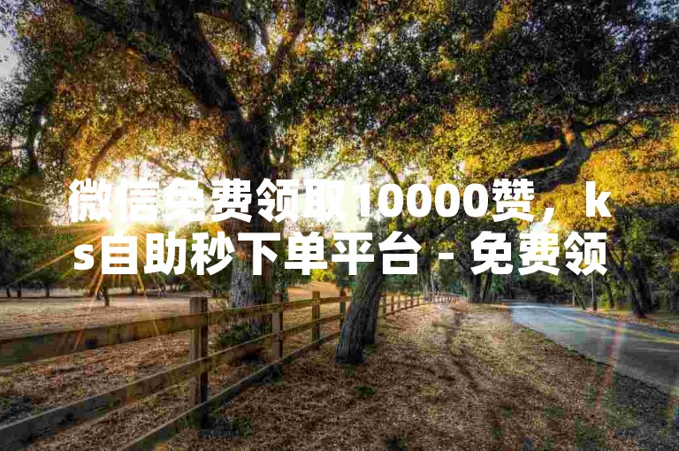 微信免费领取10000赞，ks自助秒下单平台 - 免费领取微信绿钻自助网 - 低价快币。