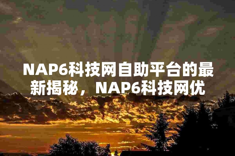 NAP6科技网自助平台的最新揭秘，NAP6科技网优化自助平台操作流程，2024必知！